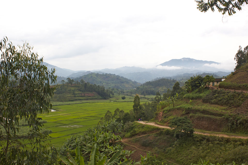 Countryside in Nyamasheke District, Rwanda.