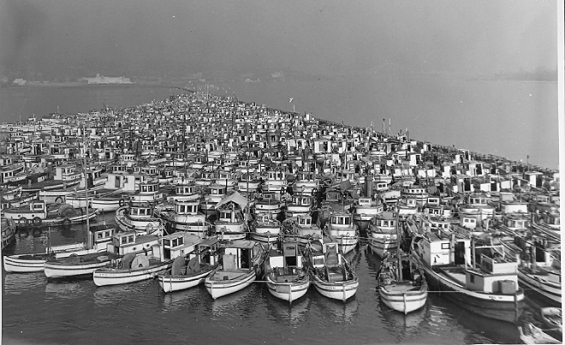 1,200 bateaux de pêche japonais saisis et mis à la fourrière en 1941 à New Westminster, en Colombie-Britannique